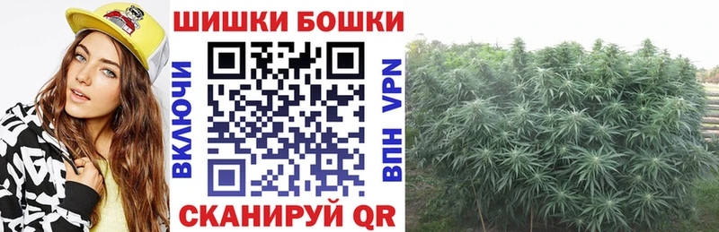 Каннабис MAZAR  Куровское 